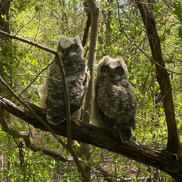 Meet your Posher, Kelly - Picture 9 of 11